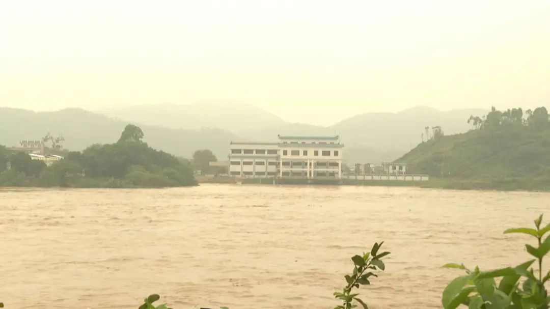 圖片來源：“四會(huì)發(fā)布”微信公眾號